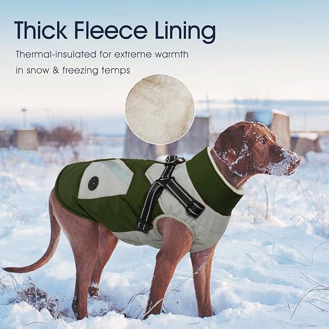 IECOii Dog Winter Coat Waterproof - Green, Medium - Dog Coat with Harness Built in for Medium Dogs, Thermal Warm Fleece Lined with Zip Up Cold Weather Jacket, Reflective Snowsuit for Outdoor Hiking