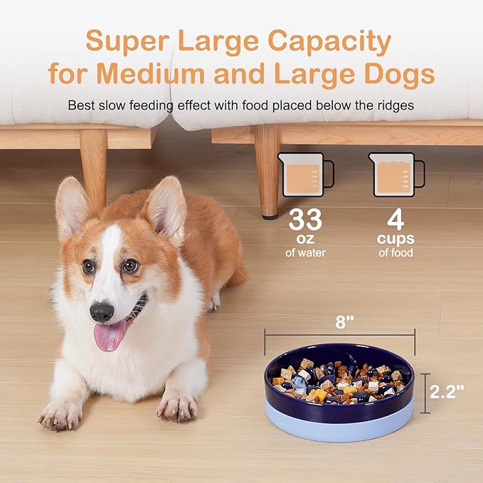Sted Ceramic Slow Feeding Dog Bowl with Silicone Base, Small Medium Breed, Slow Down Eating, Puzzle Dog Food Bowl, Maze Blue