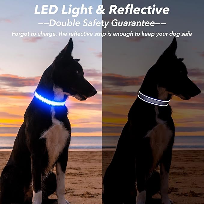 Visinite Light Up Dog Collars for Small Medium Large Dogs, Fully Adjustable LED Dog Collar USB Rechargeable, 3 Glowing Modes Pet Dog Collar, Lighted Dog Collars for Night Walking Safety
