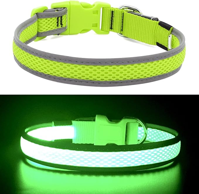 YFbrite Light up Dog Collars, USB Rechargeable LED Dog Collar, Adjustable LED Cat Collar, Durable Flashing Collar for Cats, Puppy, Small, Medium, Large Dogs (Green, XS)
