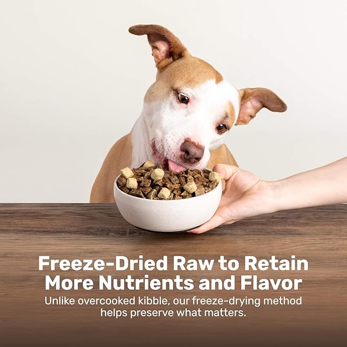 Superfood Nuggets- Premium, Freeze-Dried raw Dog Food Topper or Treat. Powerful Nutrient-Dense Ingredients. No Artificial additives. Bison and Kale Formula 8oz - 4pk Bundle