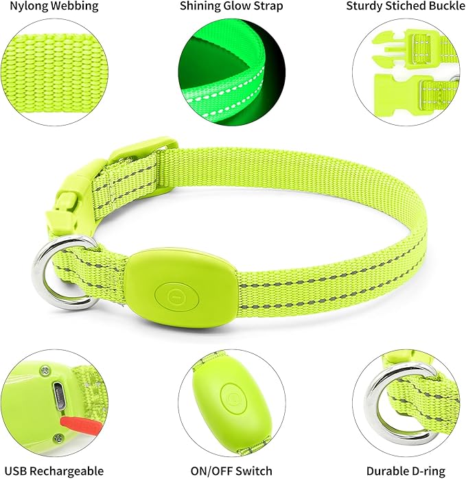 Light Up Collar for Small Dogs Cats - Reflective LED Dog Collar Glow in The Dark, Safety Pet Collar Lights for Nighttime Walking (Green)