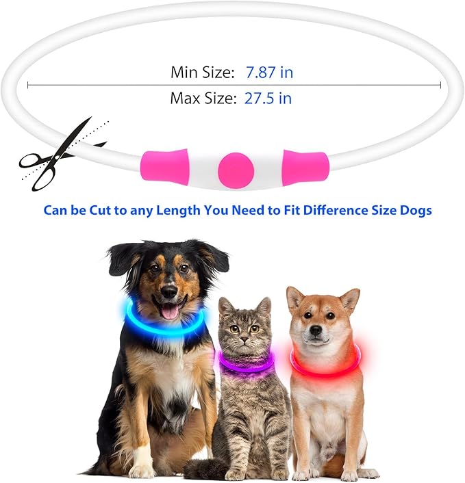 Flashseen LED Dog Collar, USB Rechargeable Glowing Lighted Up Collar, Cuttable Water-Resistant TPU Safety Collar Lights for Small Medium Large Dogs (Purple)