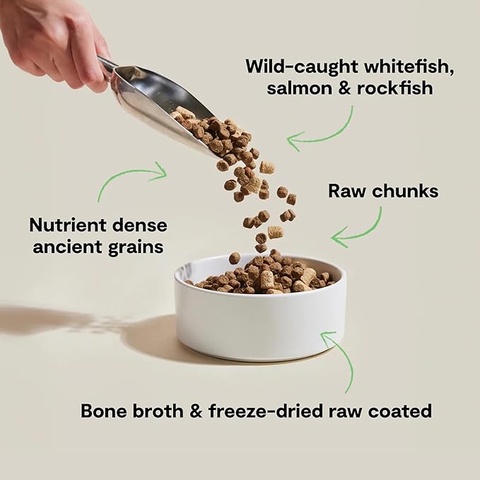 Open Farm, RawMix Dry Dog Food with Ancient Grains, Protein-Packed Kibble Coated in Bone Broth with Freeze Dried Raw Chunks, Salmon Whitefish & Rockfish,Wild Ocean Recipe, 3.5lb Bag