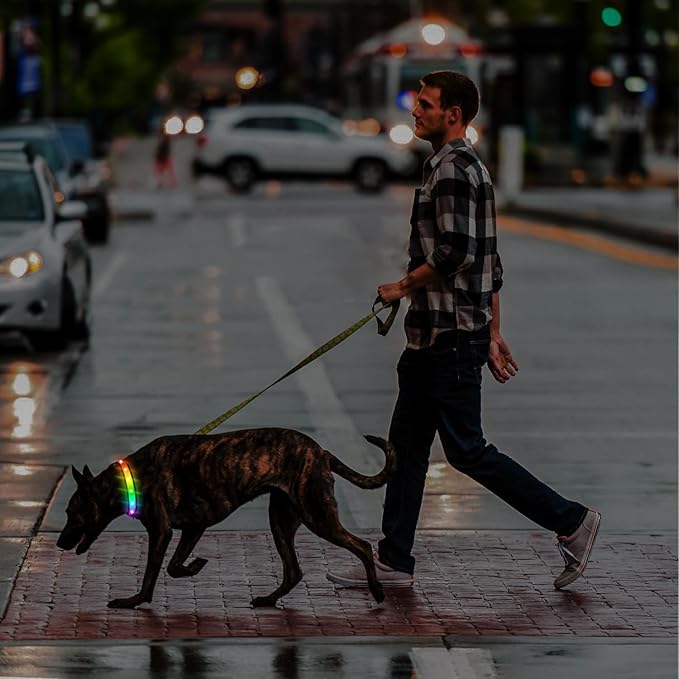 LED Dog Collar, Multicolor Light Up Dog Collar, USB Rechargeable & High-Visibility Glow in The Dark Dog Collars for Night Walks, IPX7 Waterproof, Large