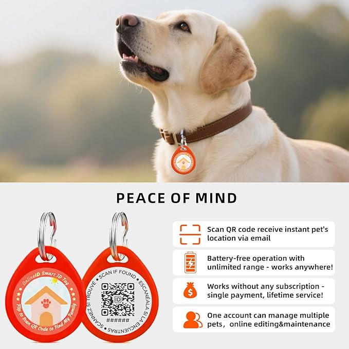 2 Pack Personalized Dog Tags,QR Code Pet ID Tags with Online Profile systerm,Editable Any Names and Phone numbles,Black&Red,L
