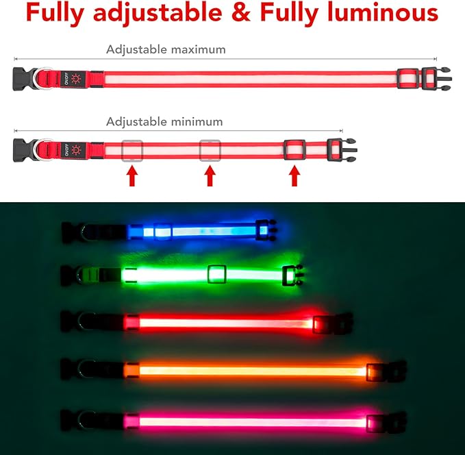 Vizpet LED Dog Collar, Light Up Dog Collar Adjustable USB Rechargeable Super Bright Safety Light Glowing Collars for Dogs(Small,Red)