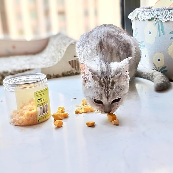 BLACK FOX Freeze-Dried Chicken Egg Yolk Dog Treats | Topper | Cat Treats | 4oz Single Ingredient, Raw, Healthy, All Natural, Human Grade, Digestion & Hairball Control