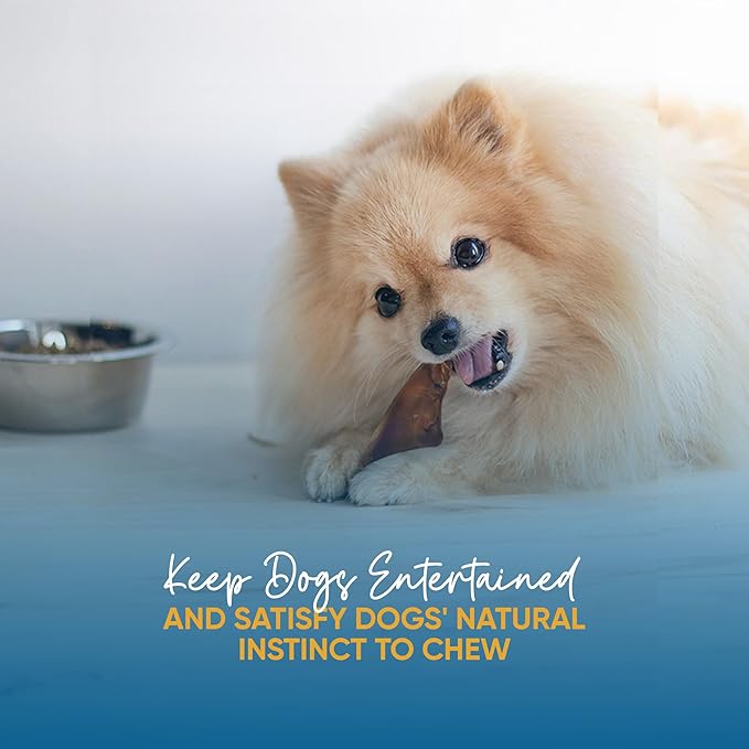 Whole Pig Ears for Dogs - (30 Count) 100% Natural, Long Lasting & Highly Digestible Chew Treats, Single Ingredient, Slow Baked, Great for Puppy, Large & Medium Dogs