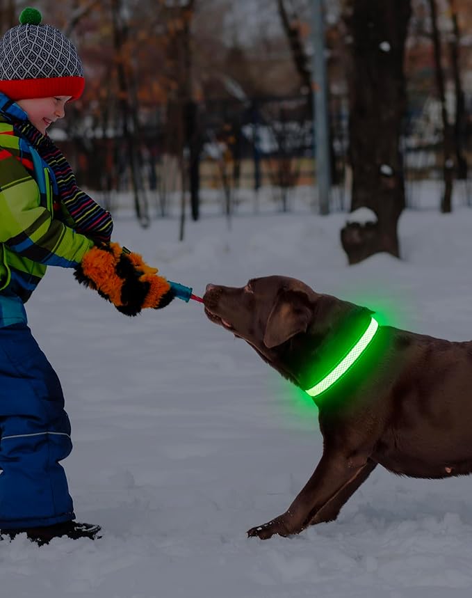 Weesiber Light Up Dog Collar - Glow in The Dark LED Dog Collar Rechargeable Reflective Pet Collar, Safety Doggy Lights for Night Walking(Green, L)