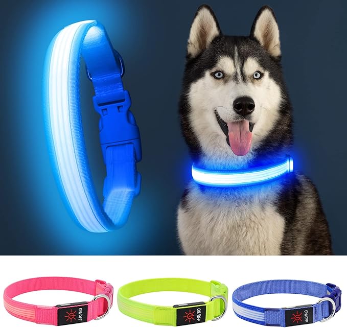 YFbrite Light up Dog Collar, USB Rechargeable LED Puppy Collar Super Bright Adjustable Glowing Dog Lights for Night Walking (Design-2- Blue, Medium)