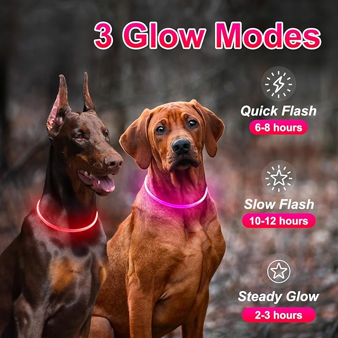 2 Packs Light Up Dog Collar, LED Dog Collar, USB Rechargeable Dog Lights for Night Walking, Adjustable Glow in The Dark Collars for Small Medium Large Dogs, Waterproof Safety Pets Lights Red&Pink