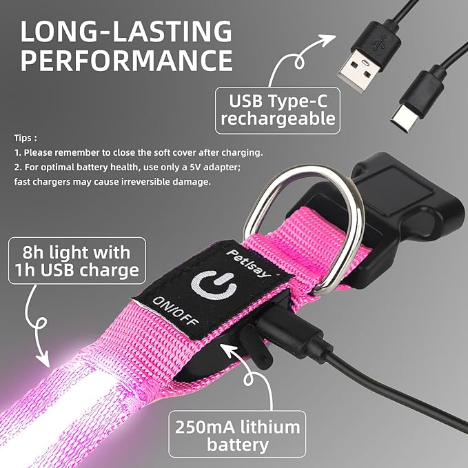 Super Bright LED Dog Collar - Fully Waterproof & Adjustable Glow Collar - USB-C Rechargeable for Night Walking, Safety - Flashing Lighted Collar for Dogs(Pink,L)