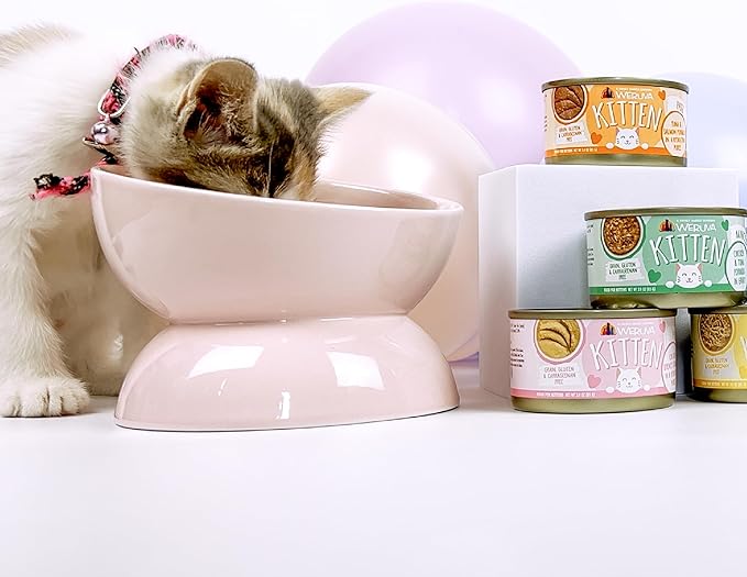Weruva Kitten, Chicken & Pumpkin Formula in Gravy, 3oz Can (Pack of 12)