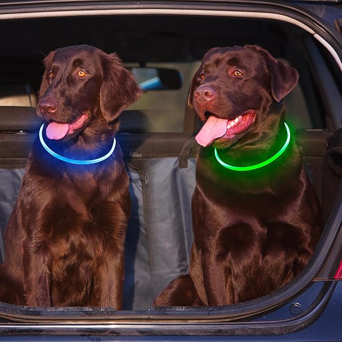 2 Packs Light Up Dog Collar, LED Dog Collar, USB Rechargeable Dog Lights for Night Walking, Adjustable Glow in The Dark Collars for Small Medium Large Dogs, Waterproof Safety Pets Lights Green&Blue