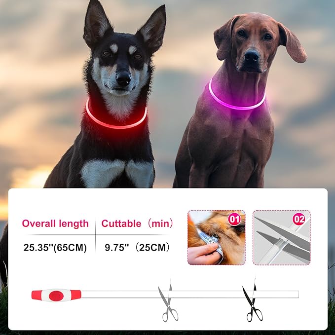 2 Packs Light Up Dog Collar, LED Dog Collar, USB Rechargeable Dog Lights for Night Walking, Adjustable Glow in The Dark Collars for Small Medium Large Dogs, Waterproof Safety Pets Lights Red&Pink