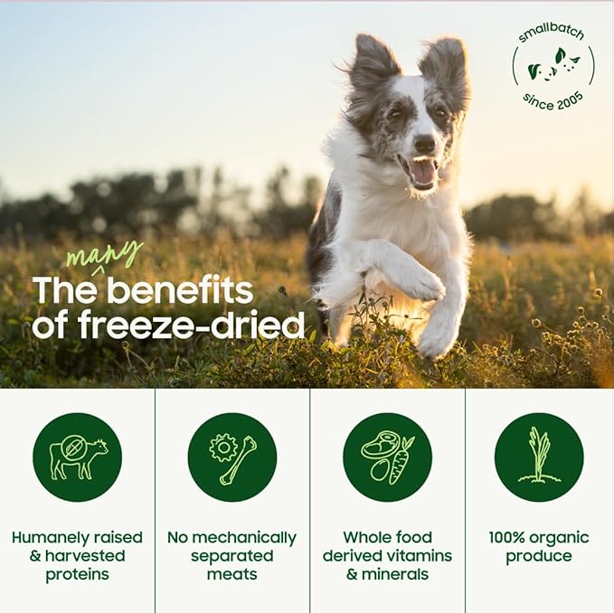 smallbatch Pets Freeze Dried Raw Dog Food, Chicken Recipe, 25 oz, Organic High Protein Dog Food, Grain Free, Made in The USA, Humanely Raised Meat, Single Protein, for Picky Eaters, Hydrate & Serve