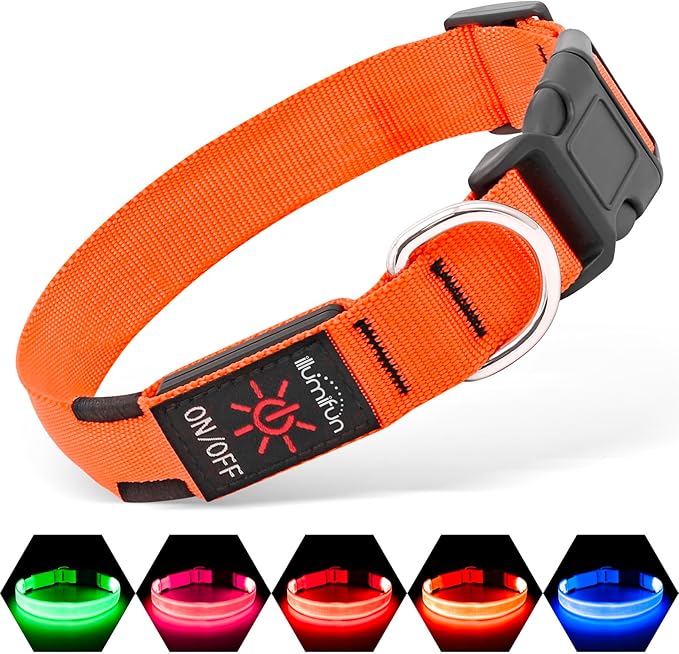 Illumifun LED Dog Collar, Adjustable Light Up Dog Collars, USB Rechargeable Water-Resistant Glowing Safety Collar Light (Orange, Small)