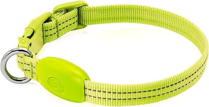 LED Dog Collar - Light Up, Adjustable, Rechargeable, Waterproof, Glow in Dark for Small Pets (S, Green)