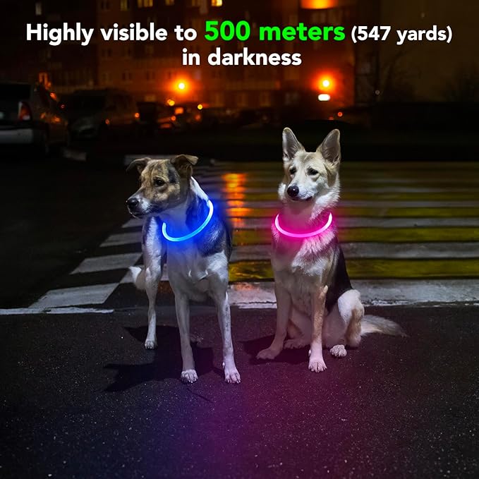 Light Up Dog Collar - Waterproof LED Dog Collar Rechargeble, TPU Cuttable Glow in The Dark Safety Dog Lights for Night Walking(Blue)