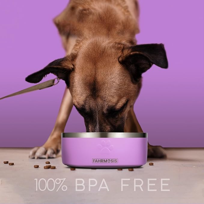 32 Oz Dog Bowl with Slow Feeder Insert Stainless Steel Pet Water Bowl for Medium & Large Breed Non Slip Rubber Base & Plastic Puzzle Feeder - Lavender
