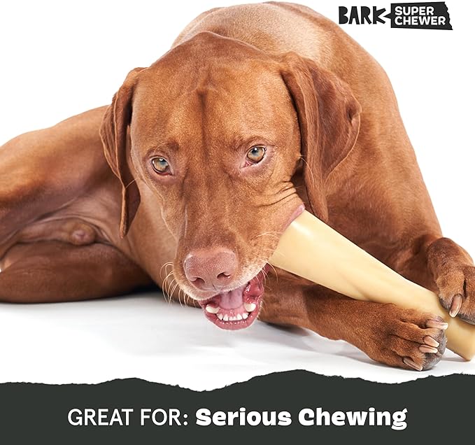 Barkbox Super Chewer Tough Dog Chew Toys for Aggressive Chewers, Dental Stimulating (Bacon Bone - Large)