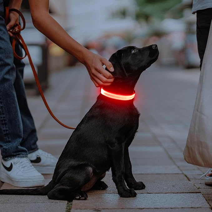 Illumifun Light Up Collar for Dogs, Rechargeable LED Dog Collar, Adjustable Safety Pet Collar Lights for Night Walking (Red, Large)