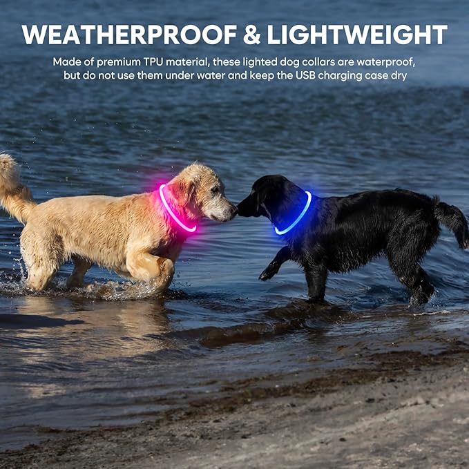 Light Up Dog Collar - Waterproof LED Dog Collar Rechargeble, TPU Cuttable Glow in The Dark Safety Dog Lights for Night Walking(Blue)
