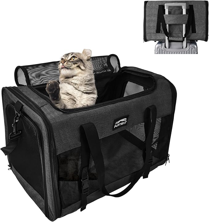 Cat Carrier Dog Carriers for Small Medium Dogs Large Cat Carrier Soft Sided Cat Carriers, Pet Travel Carrier Collapsible Cat Bag 0-25 Lbs, Puppy Kitten Carrier (Black)