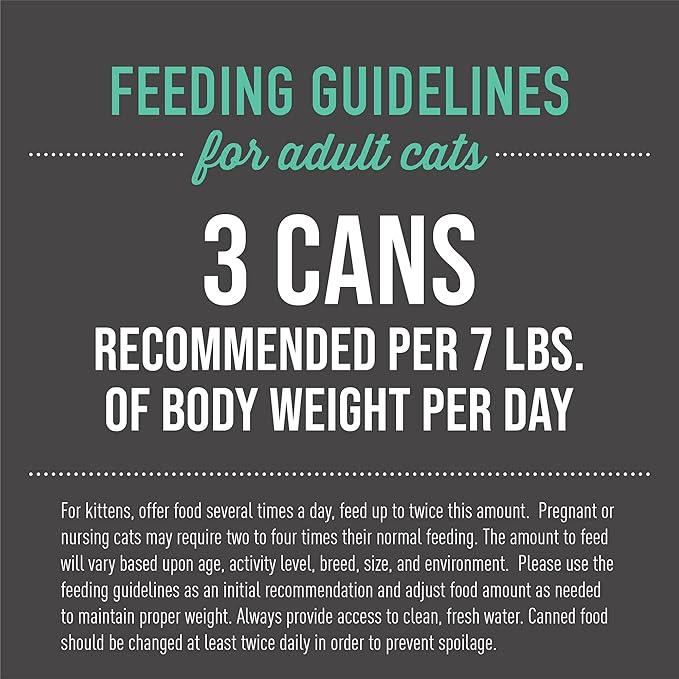 Tiki Cat After Dark, Chicken & Pork, High-Protein and 100% Non-GMO Ingredients, Wet Cat Food for Adult Cats, 2.8 oz. Cans (Pack of 12)