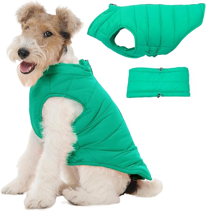 Puppy Cold Weather Coats for Small Dogs Boys & Girls, Dogs Snowsuits Warm Pet Jacket for Winter Windproof, Pet Vest with Zipper Neck Wrap for Dachshund, West Highland White Terrier, Green S
