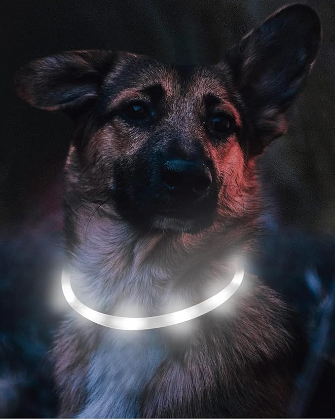 Joytale Light Up Dog Collar, Rechargeable Rainproof LED Collar for Night Walking Safety, Soft Silicone Glow in The Dark, Suitable for Small Medium Large Dogs, White