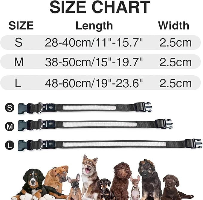MASBRILL Light Up Dog Collars - LED Dog Collar Rechargeable Lighted Dog Collars Resistant-Water Night Walking Glow in The Dark Collars