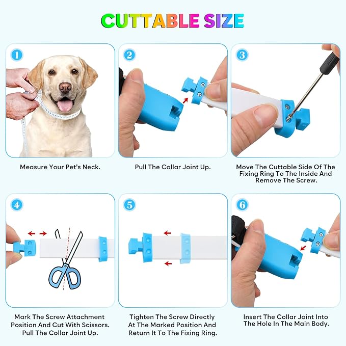 Flashseen LED Dog Collar, USB Rechargeable Glowing Lighted Up Collar, Cuttable Water-Resistant TPU Safety Collar Lights for Small Medium Large Dogs (Style 1)