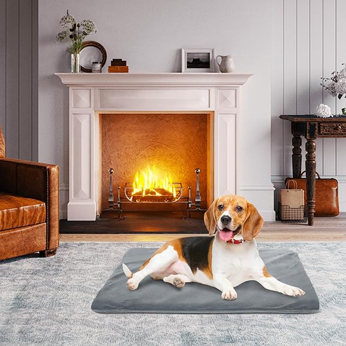 RIOGOO Pet Heating Pad, Upgraded Electric Dog Cat Heating Pad Indoor Waterproof, Auto Power Off (X-Large: 28"x 18", Grey)