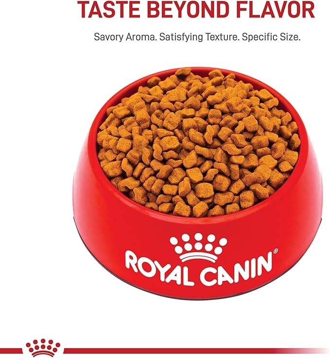 Royal Canin Breed Health Nutrition Boxer Puppy Dry Dog Food, 30 lb Bag