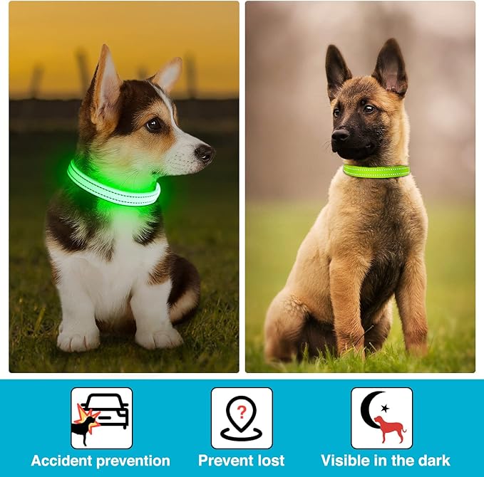 LED Dog Collar - Light Up, Adjustable, Rechargeable, Waterproof, Glow in Dark for Small Pets (S, Green)
