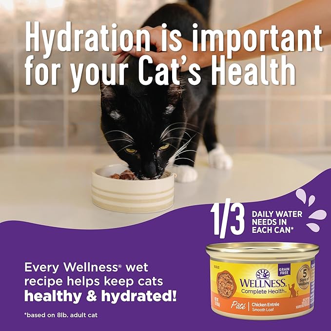Wellness Complete Health Minced Adult Wet Cat Food, Natural, Protein-Rich, Grain Free, 3 Ounce, 24 Pack, (Salmon Entrée)