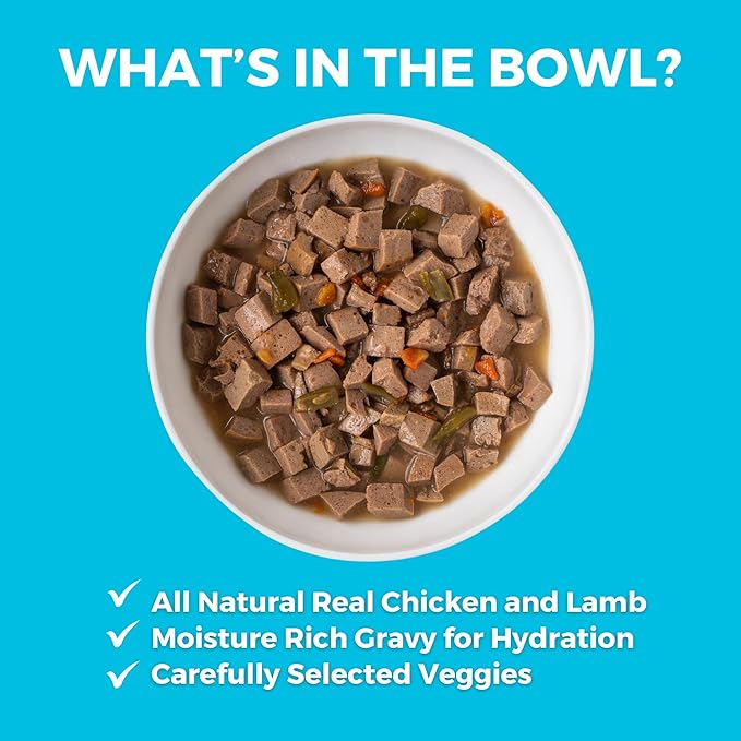 KOHA Greek Island Grill Stew for Dogs with Chicken and Lamb, High Protein Wet Dog Food, 12.7oz Cans (Case of 12)