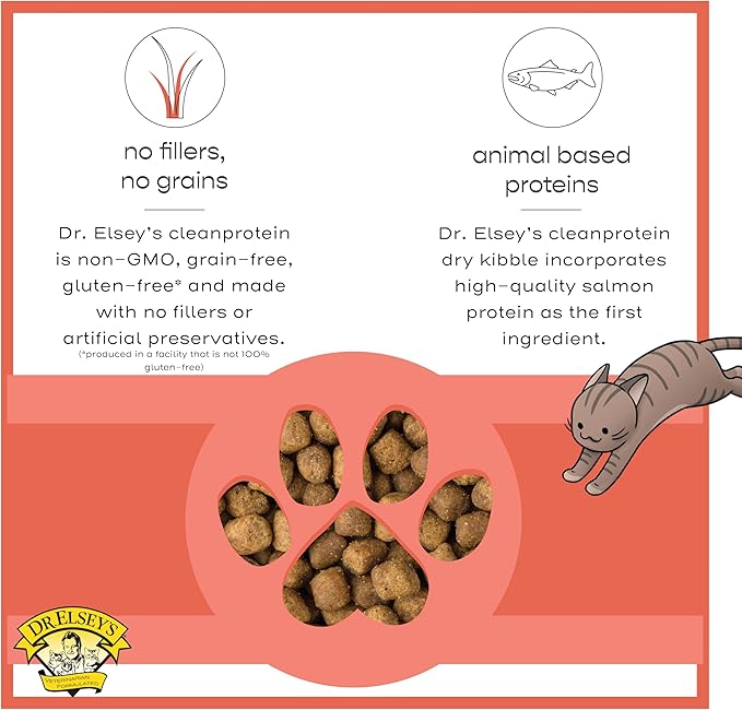 Dr. Elsey'S Cleanprotein Salmon Formula Dry Cat Food, 2 Pound (Pack of 1)