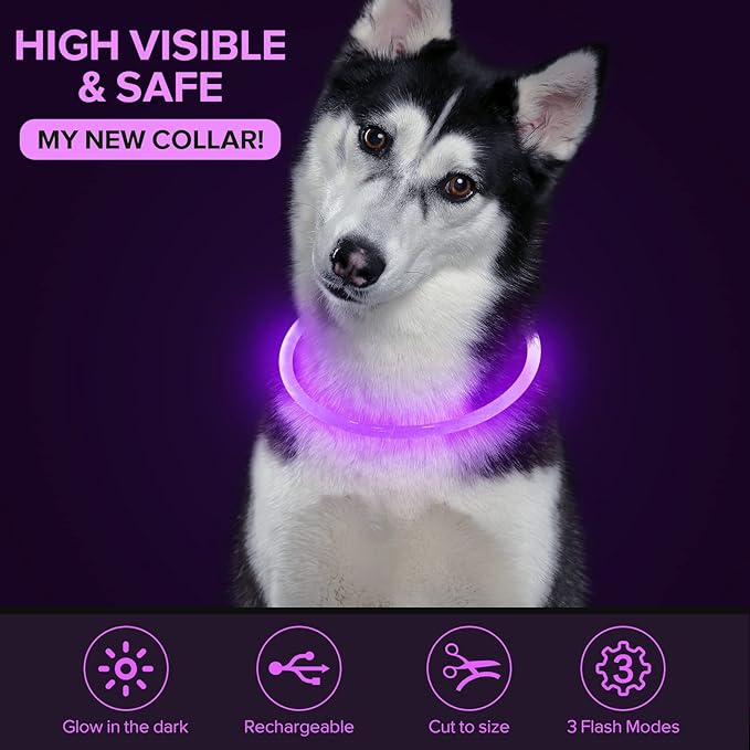 Colaseeme LED Dog Collar Light Up Dog Collars 1 Count USB Rechargeable TPU Glow Safety Basic Dog Collars for Large Medium Small Dogs (Purple)