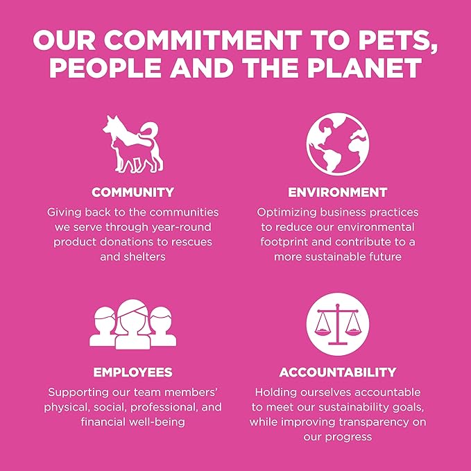 Go! Solutions Skin + Coat Care, Dry Cat Food, Chicken Recipe with Grains, 16 lb Bag