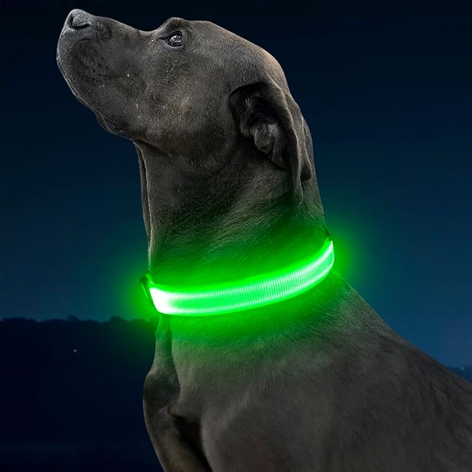 Illumifun Light Up Dog Collar, USB Rechargeable LED Dog Collar Glow in The Dark,Adjustable Pet Safety Lights for Night Walking (Green, Medium)