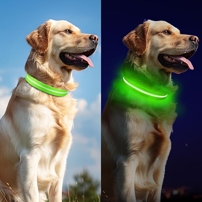 Light Up Dog Collar, Adjustable USB Rechargeable Glow in Dark Dog Collar ,Waterproof Dog Collars for Medium Dogs (Green, Medium)