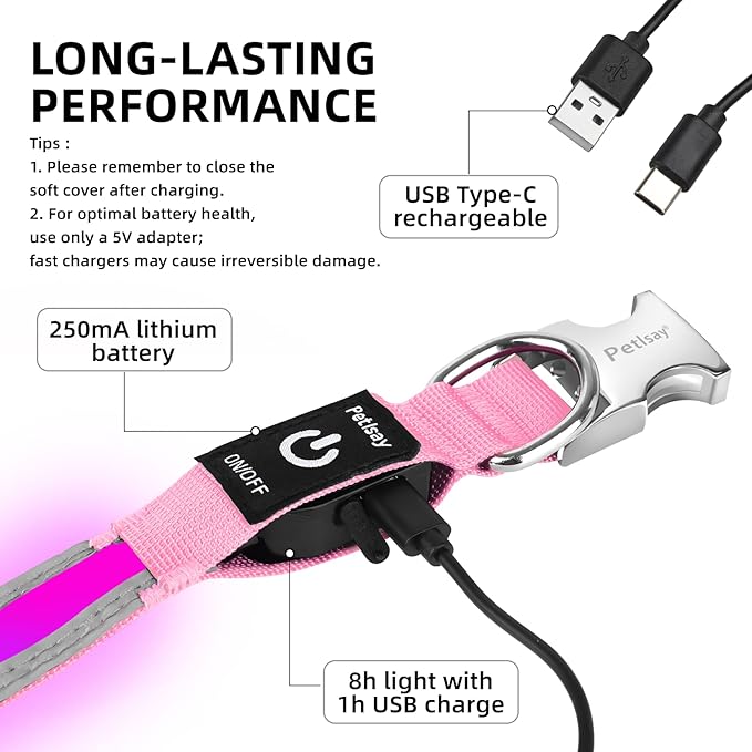 PetIsay LED Dog Collar Metal Buckle - Heavy Duty Light up Collars - Rechargeable IP68 Waterproof - Lighted Dog Collar for Night Walking, Hiking, Camping (Medium, Pink)