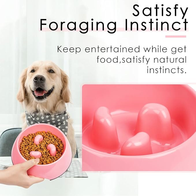 Super Design Slow Feeder Dog Bowl, 1 Cup, Nonslip, Heat-Resistant, Sturdy, Suitable for Small to Medium Sized Dogs