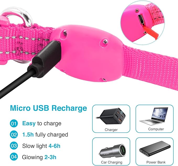 LED Dog Collar - Light Up, Adjustable, Rechargeable, Waterproof - Night Walking, Glow in Dark - Small, Pink