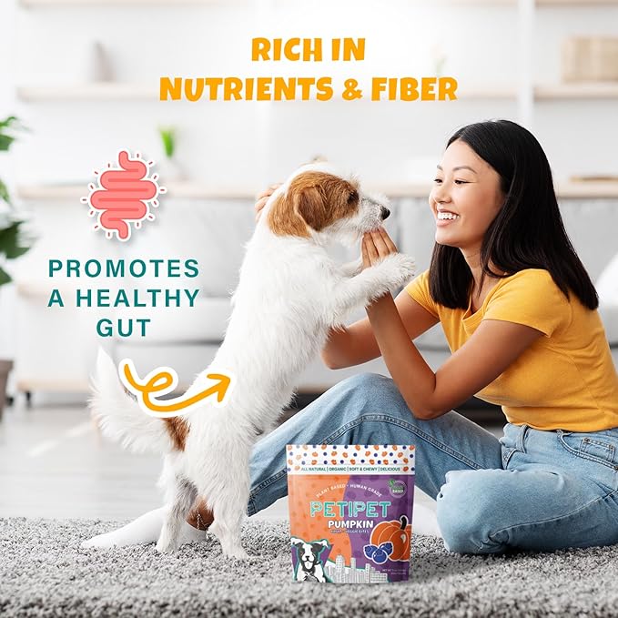 Plant-Based Pumpkin Dog Treats - Pumpkin, Carrot, Apple, and Blueberry Soft & Chewy - Vegetarian, Vegan Dog Treats with Organic Ingredients - Low-Protein, Hypoallergenic, Gluten-Free