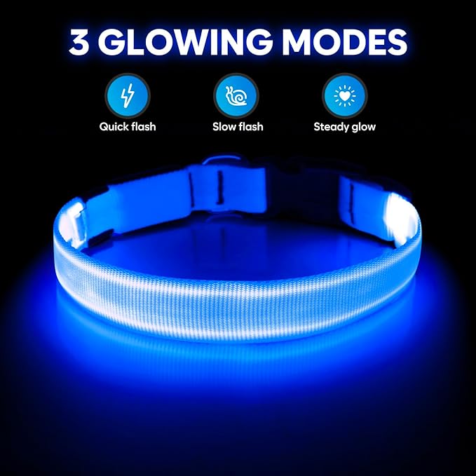 Illumifun LED Dog Collar, USB Rechargeable Light Up Collar Glow in The Dark, Adjustable Safety Pet Light for Your Pups Walking at Night (Blue, Small)