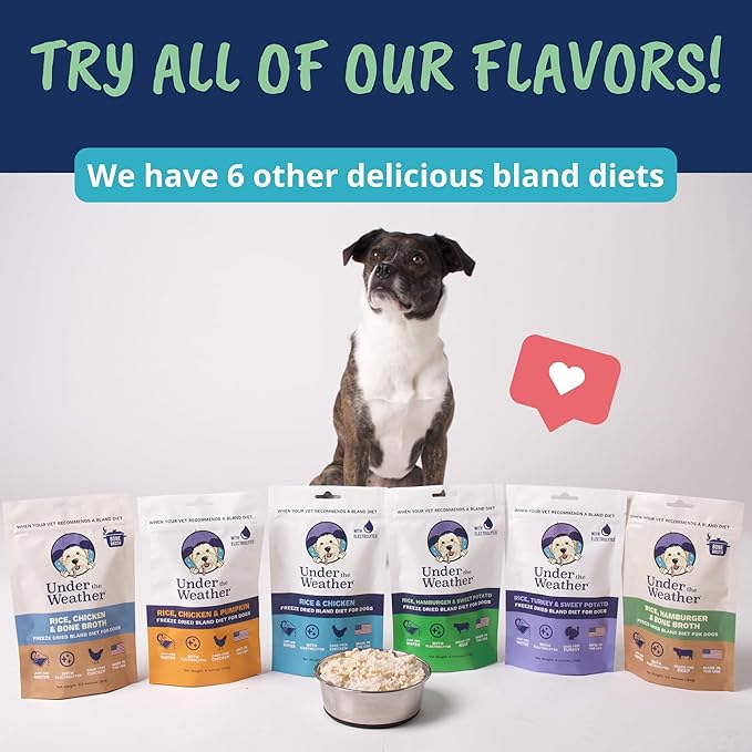 Under The Weather Easy to Digest Bland Diet for Sick Dogs | Contains Electrolytes | Gluten Free, All Natural, Freeze Dried 100% Human Grade Meats | 6 Pack - Hamburger, Rice & Sweet Potato